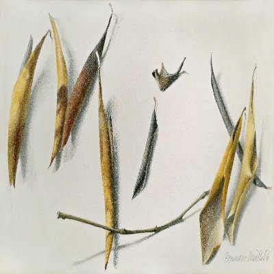 Object Thumbnail