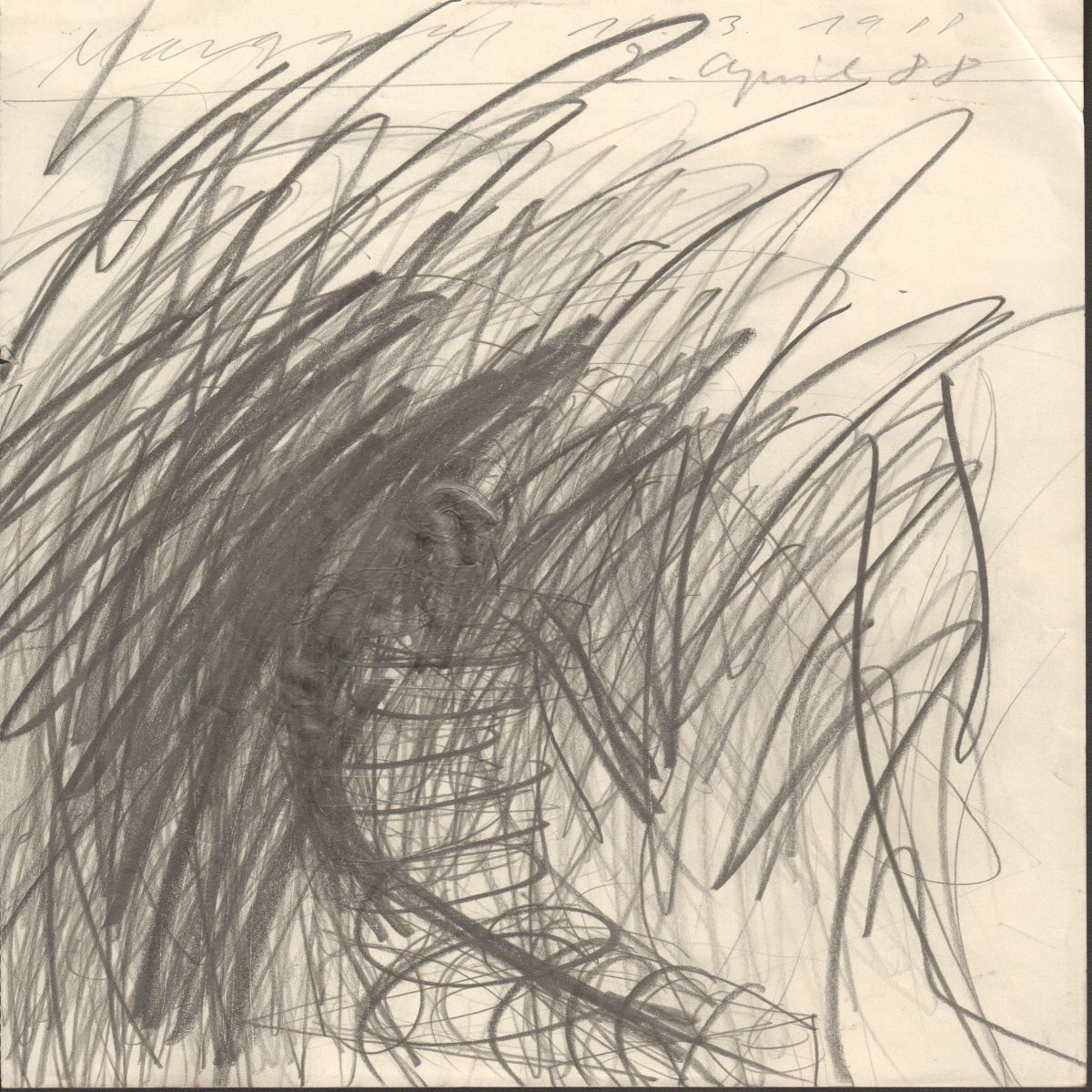 Object Image