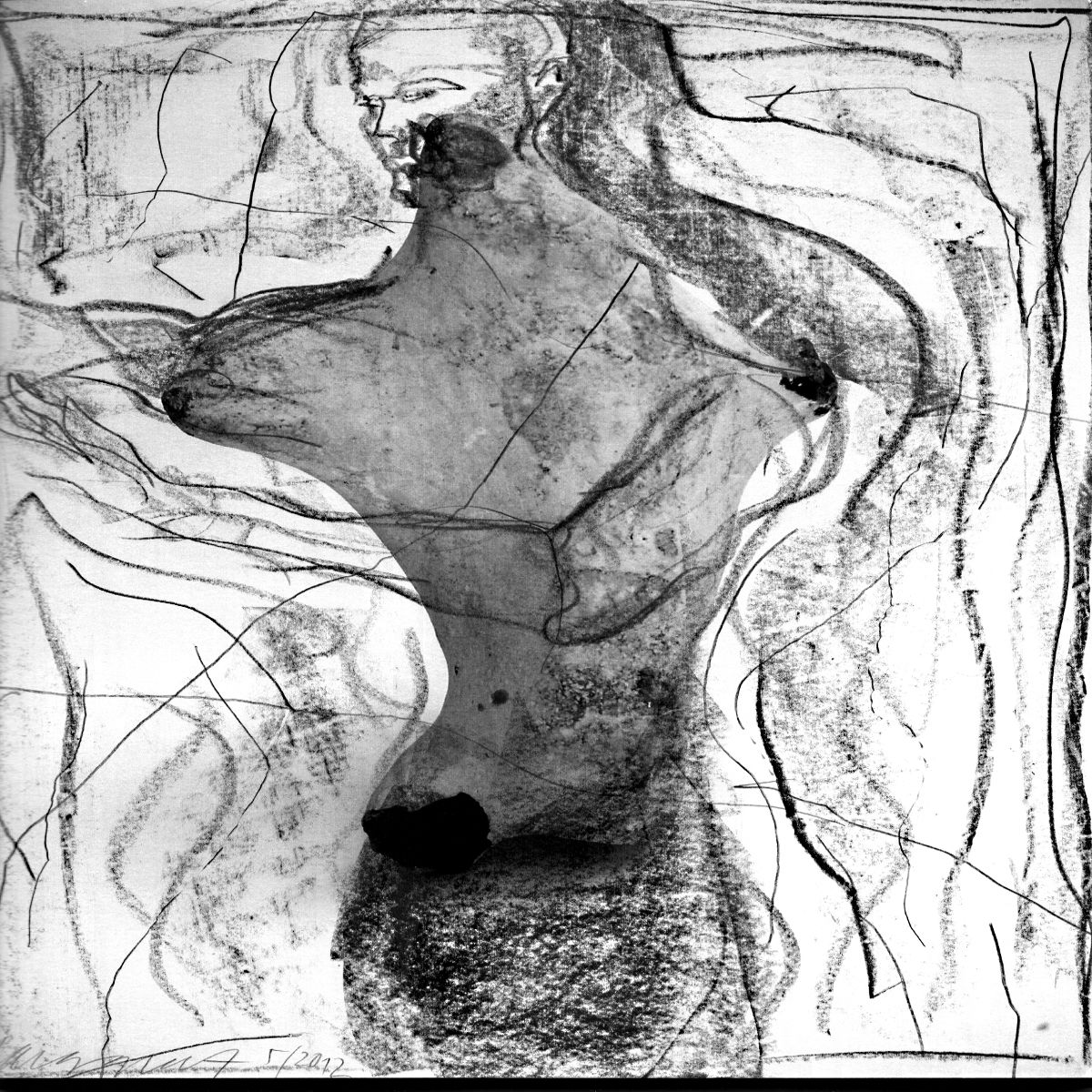 Object Image