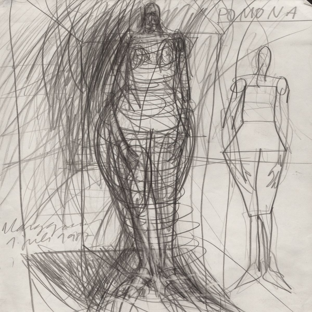 Object Image