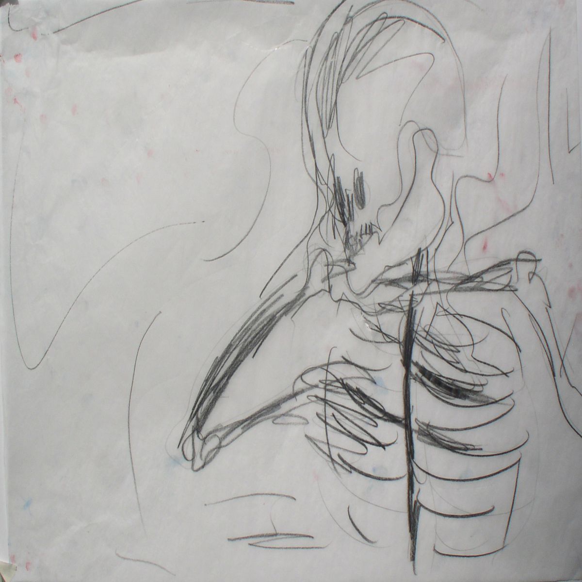 Object Image