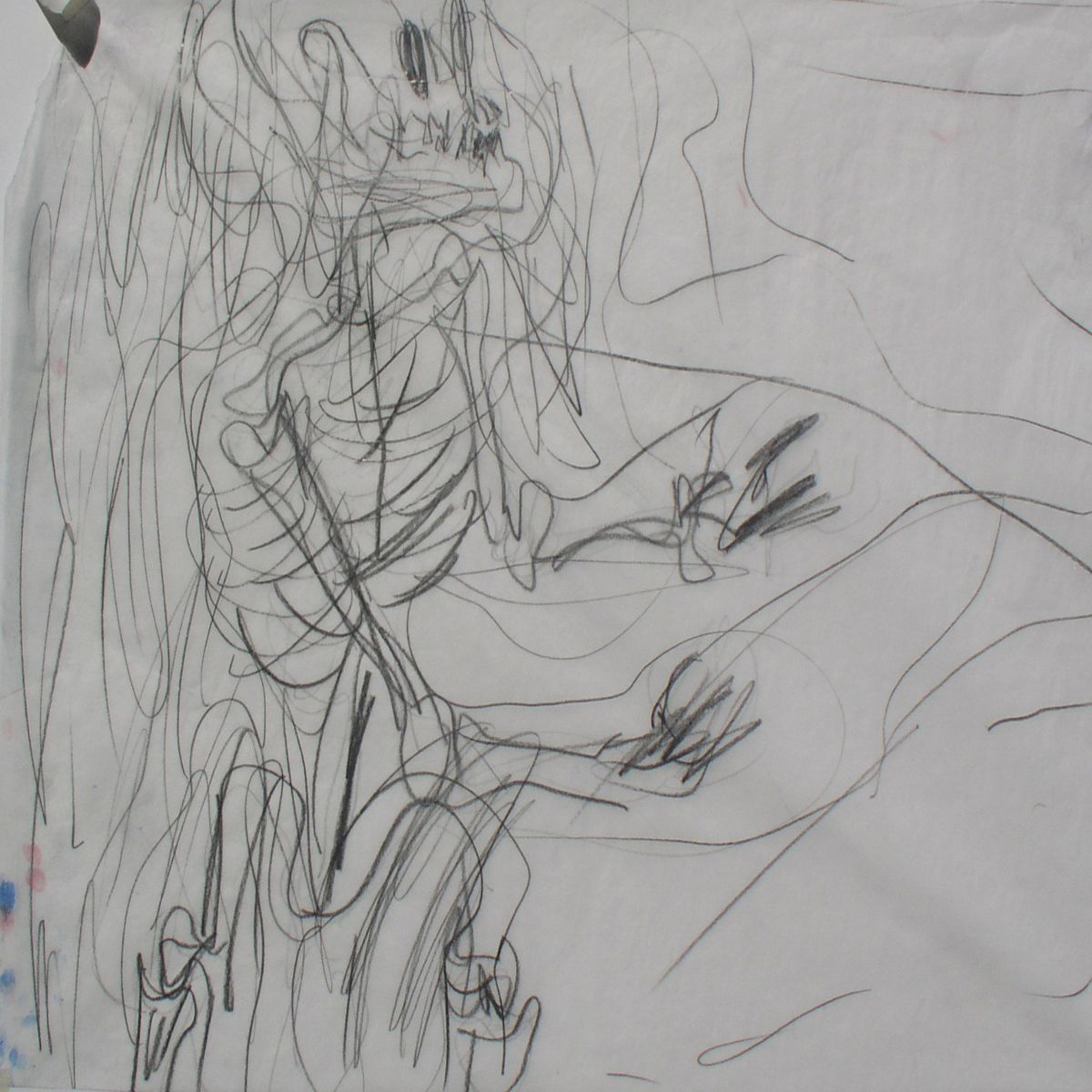 Object Image