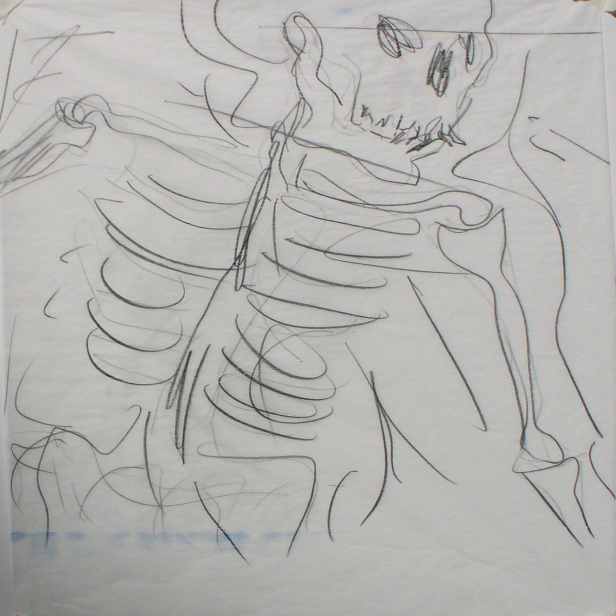 Object Image