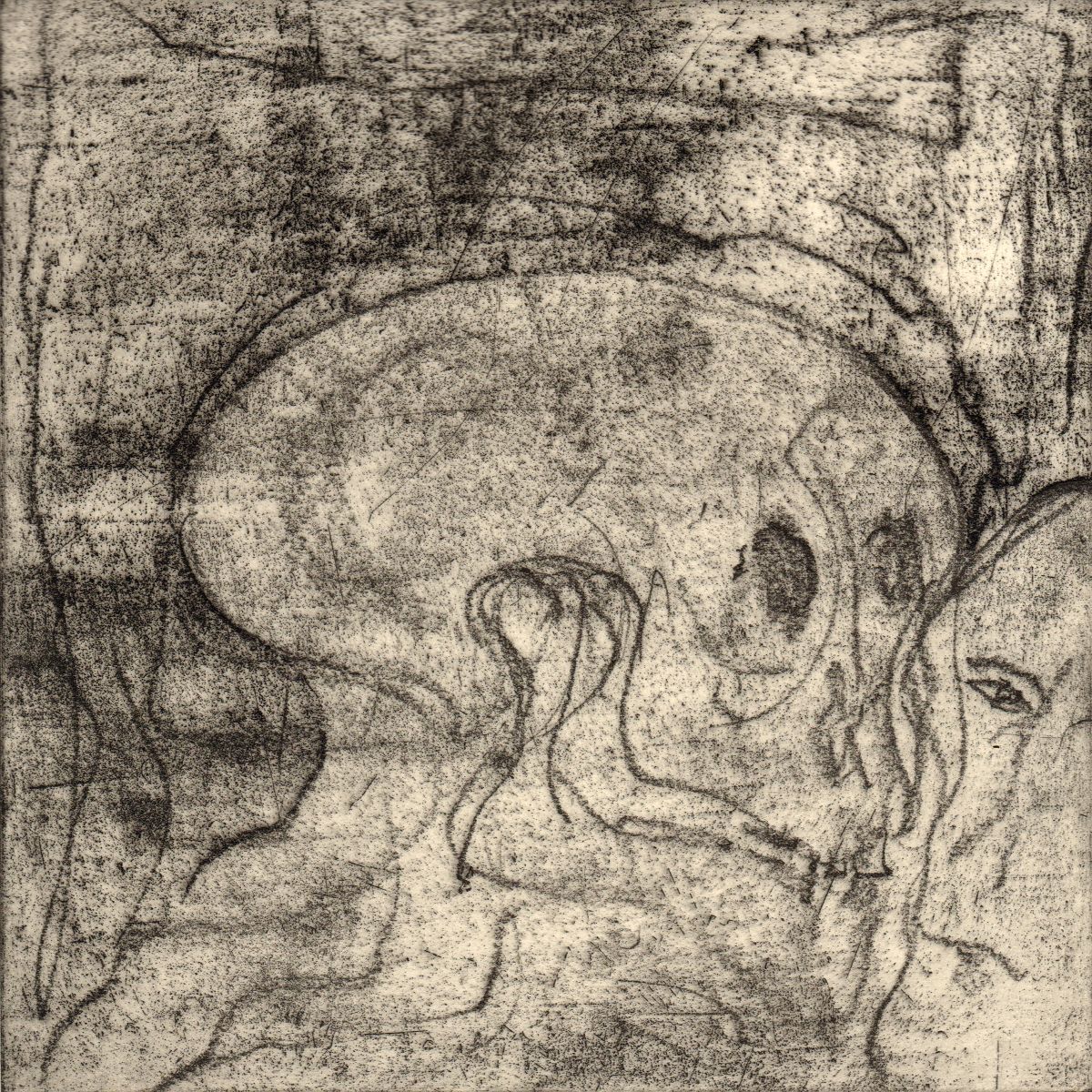 Object Image