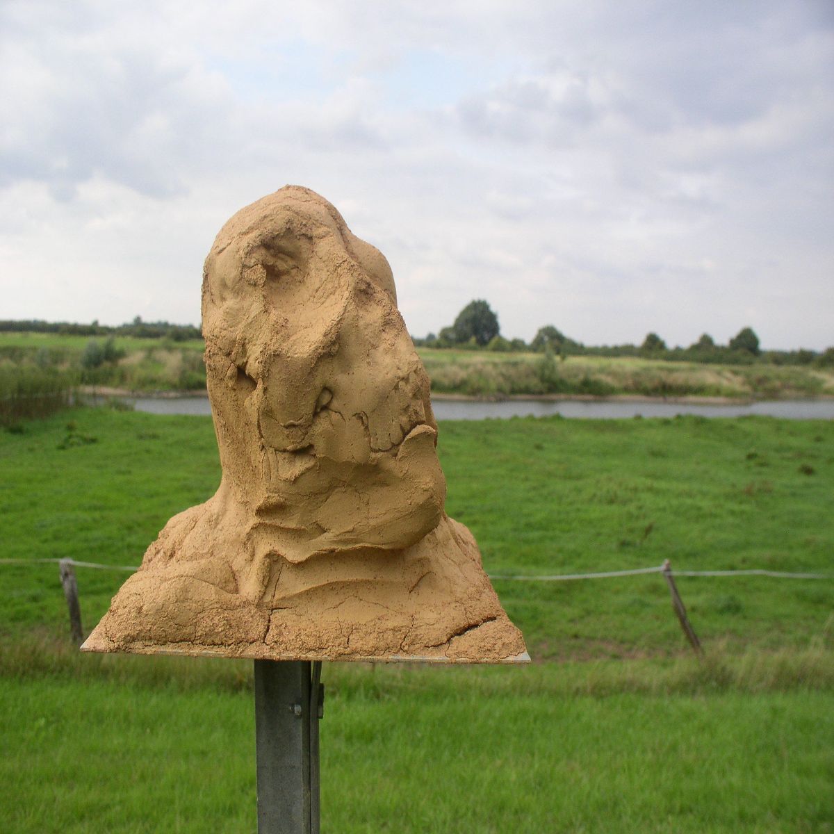 Object Image