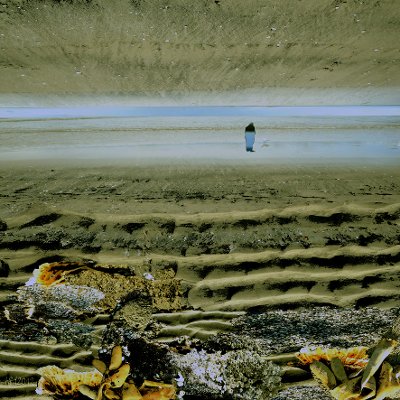 Object Thumbnail