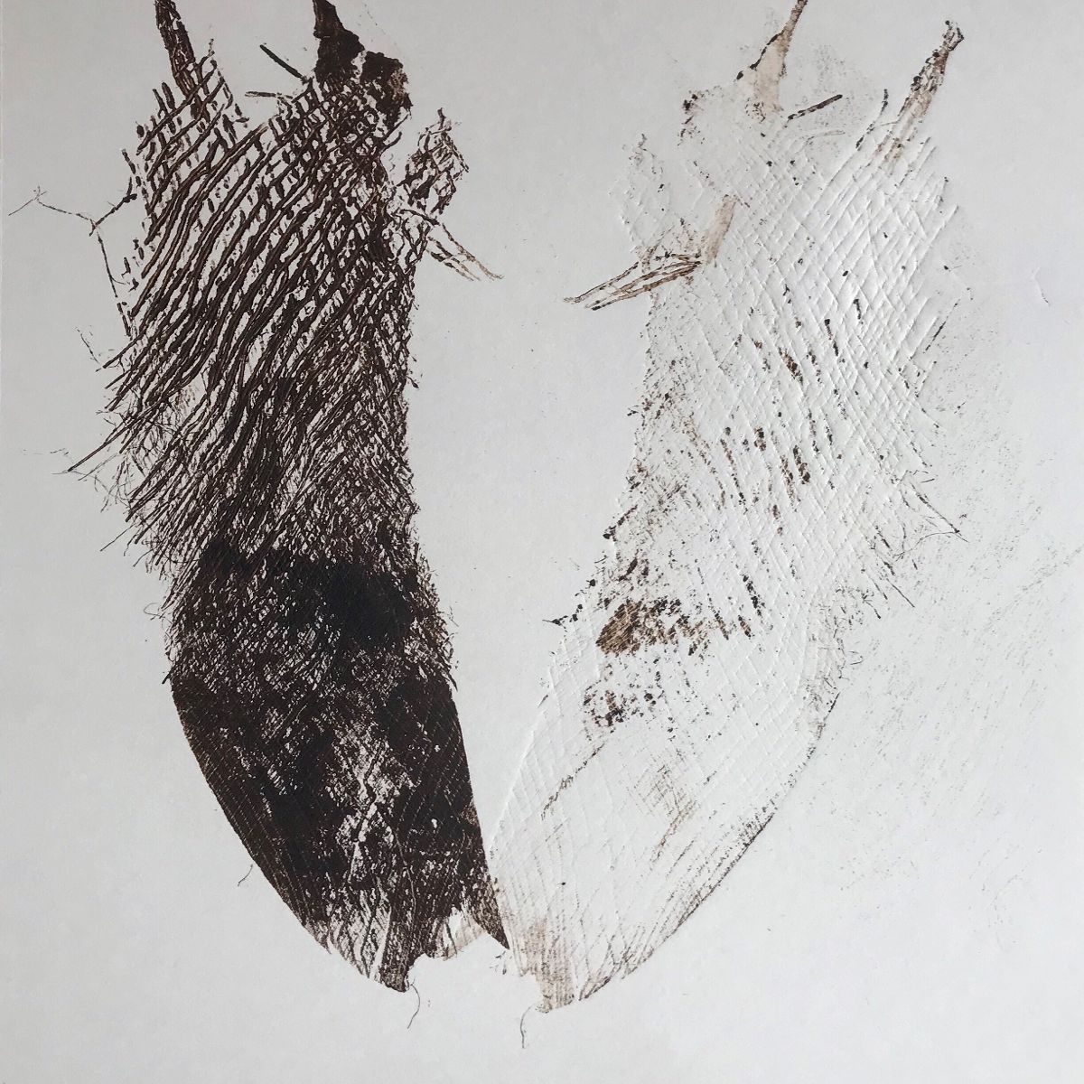 Object Image
