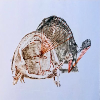 Object Thumbnail