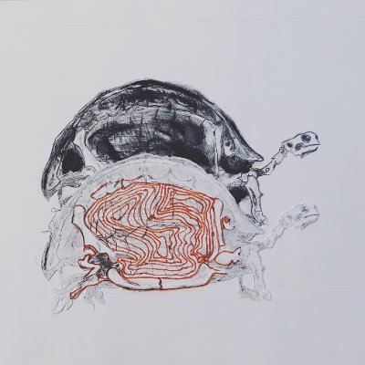 Object Thumbnail