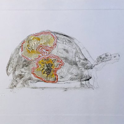 Object Thumbnail