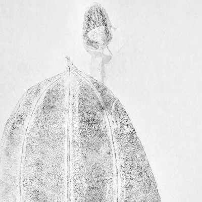 Object Thumbnail