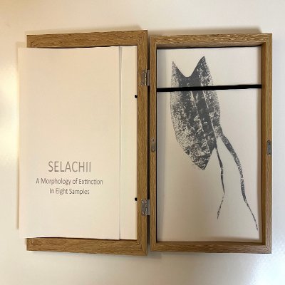 Object Thumbnail
