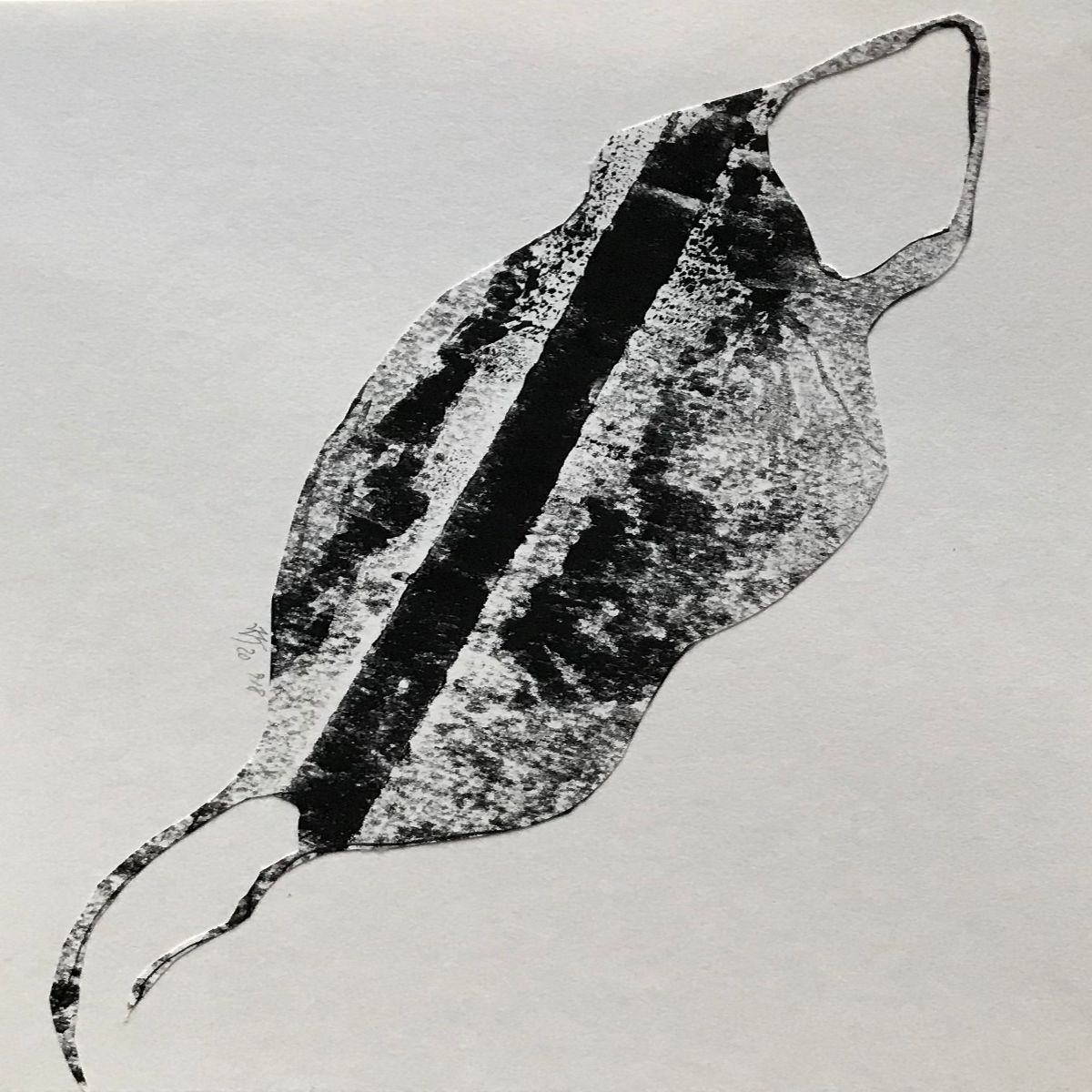 Object Image