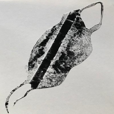 Object Thumbnail