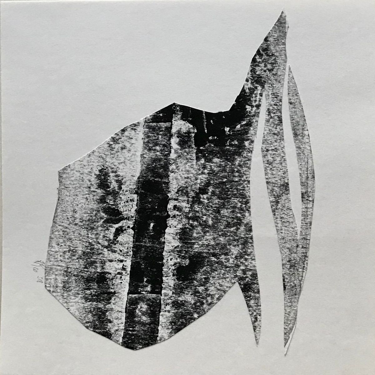 Object Image