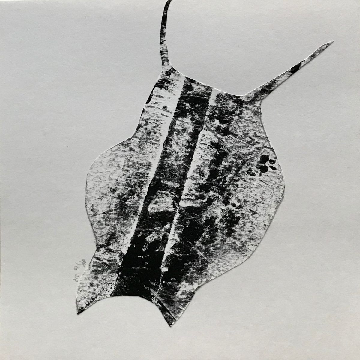 Object Image