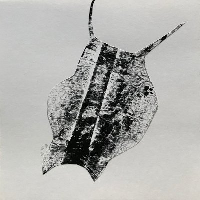 Object Thumbnail