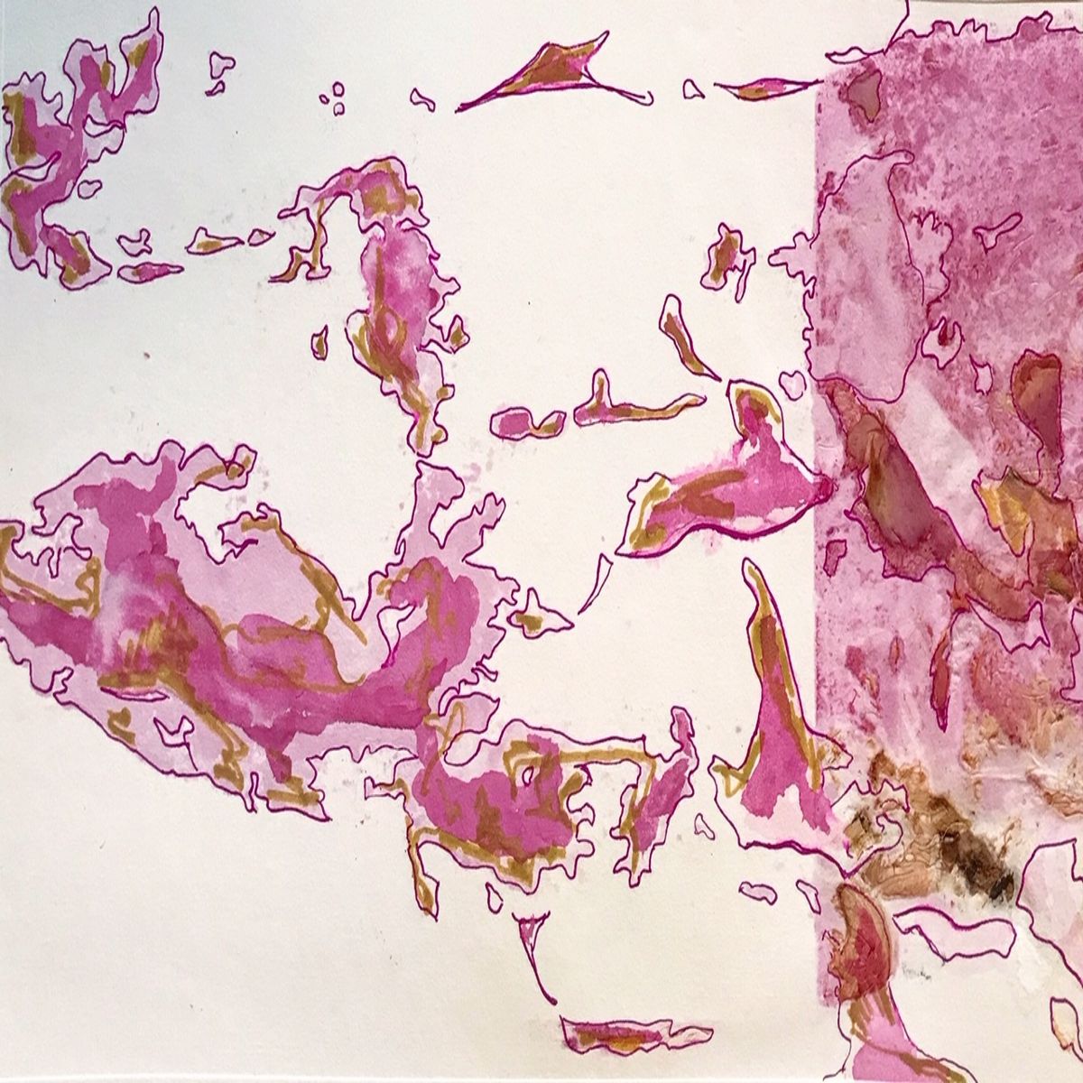 Object Image