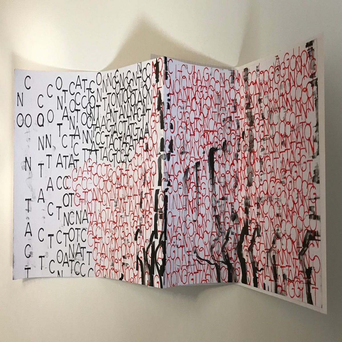Object Image