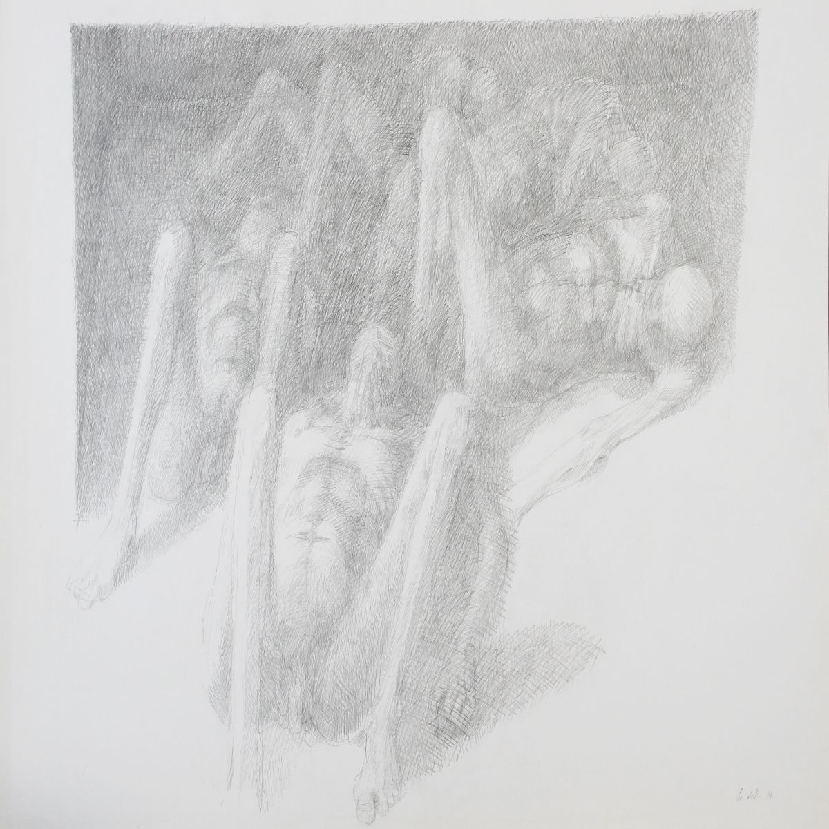Object Image