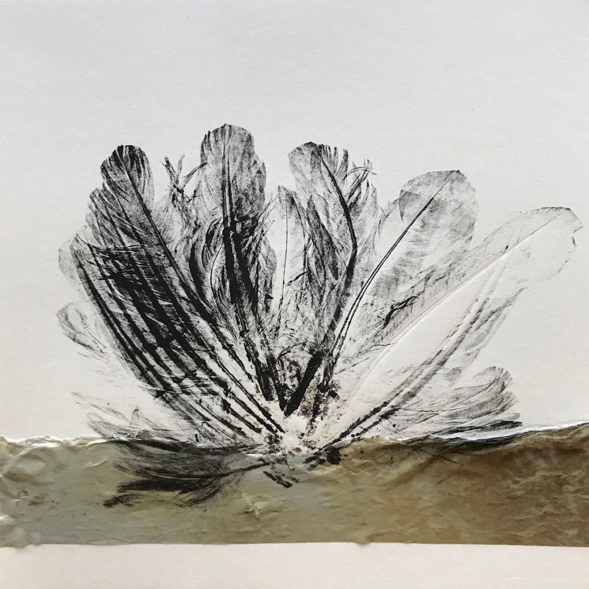 Object Image