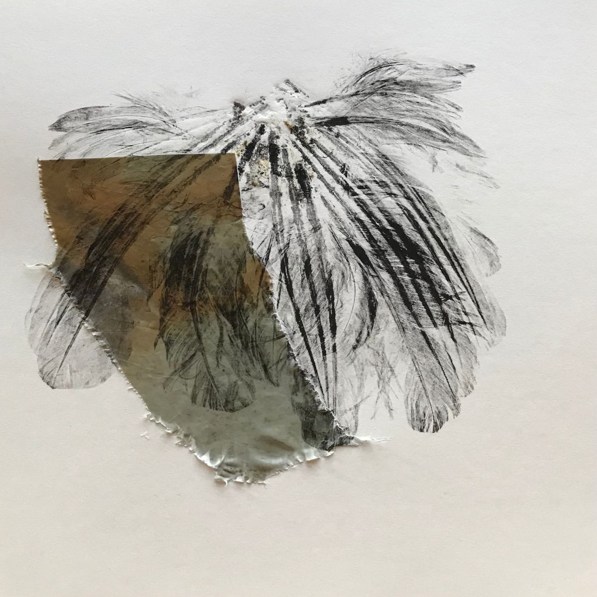 Object Image