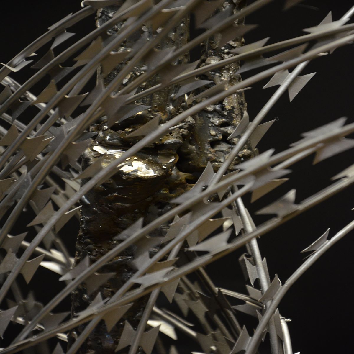 Object Image