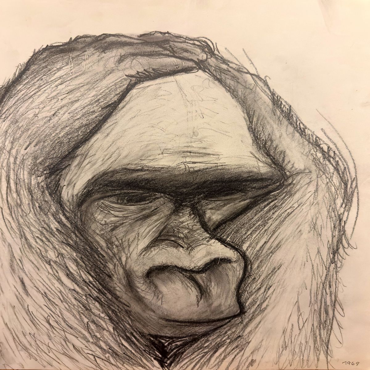 Object Image