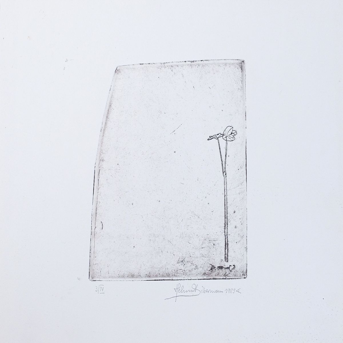 Object Image