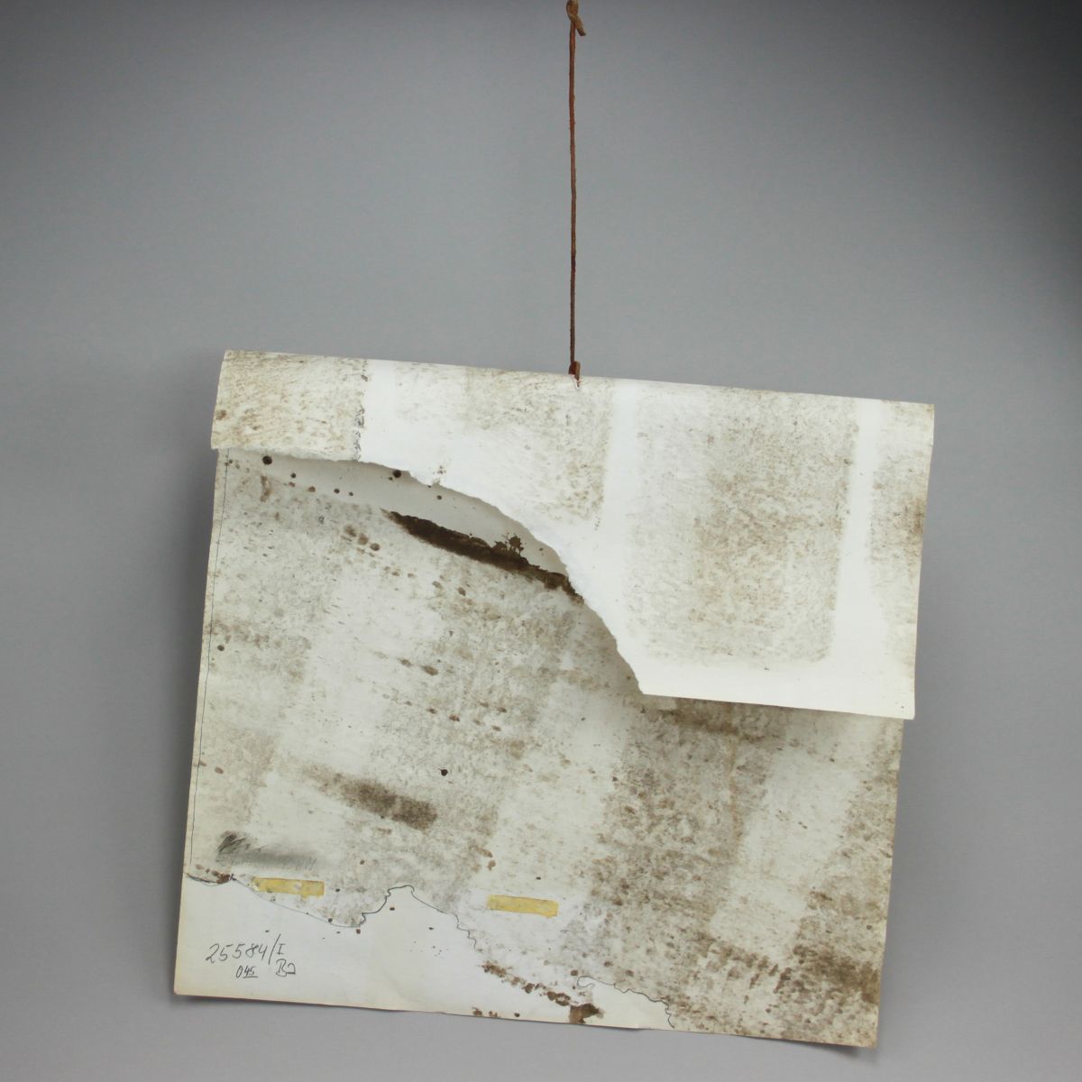 Object Image