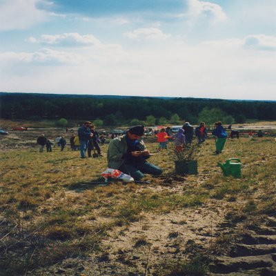 Object Thumbnail