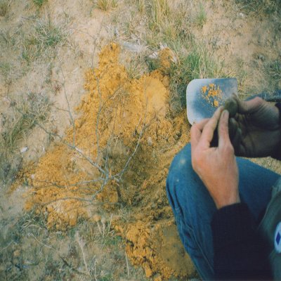 Object Thumbnail