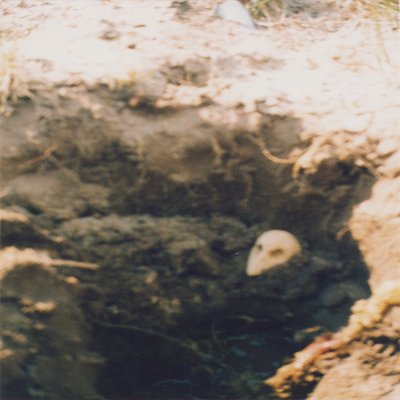 Object Thumbnail