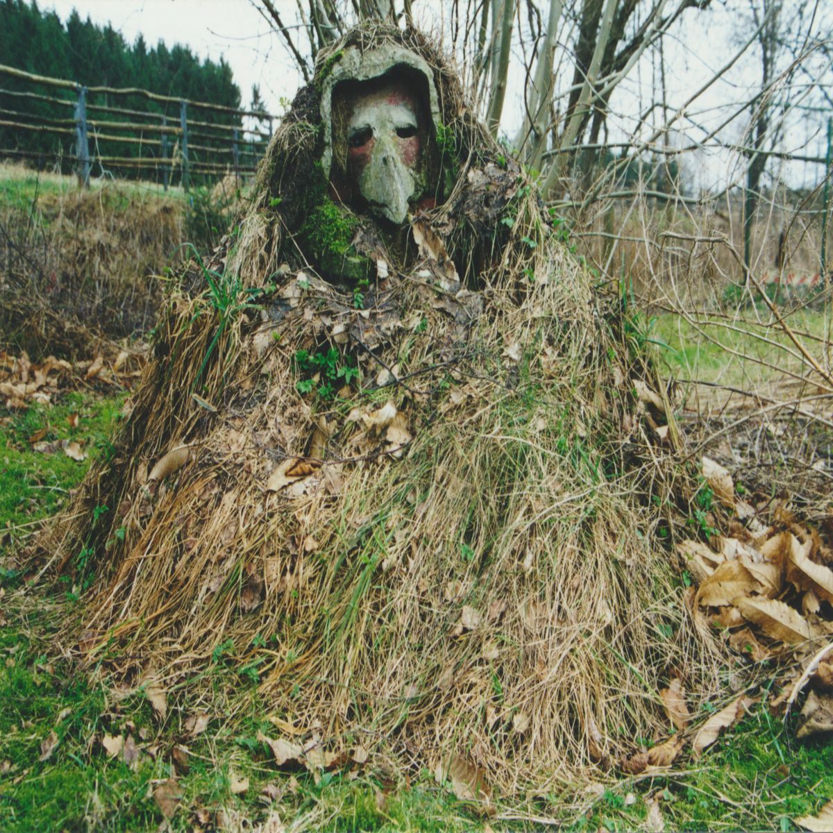 Object Image