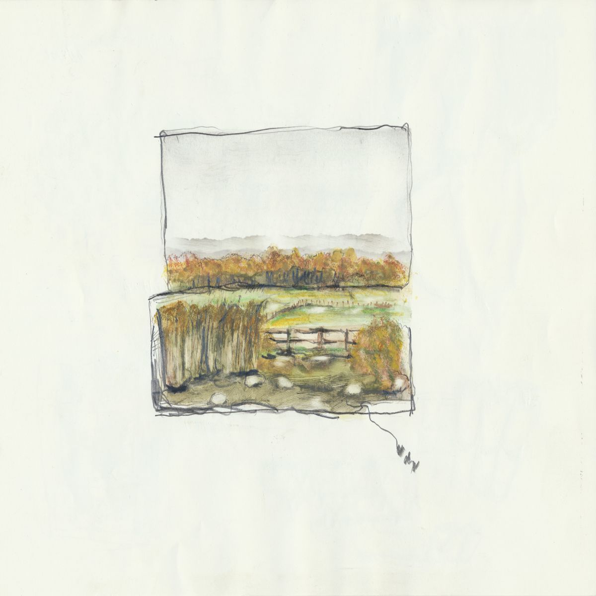 Object Image