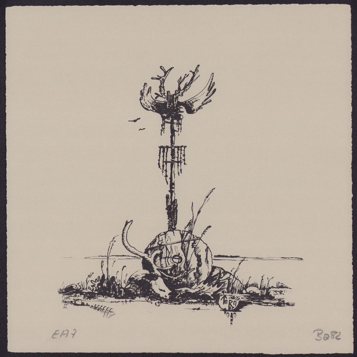 Object Image