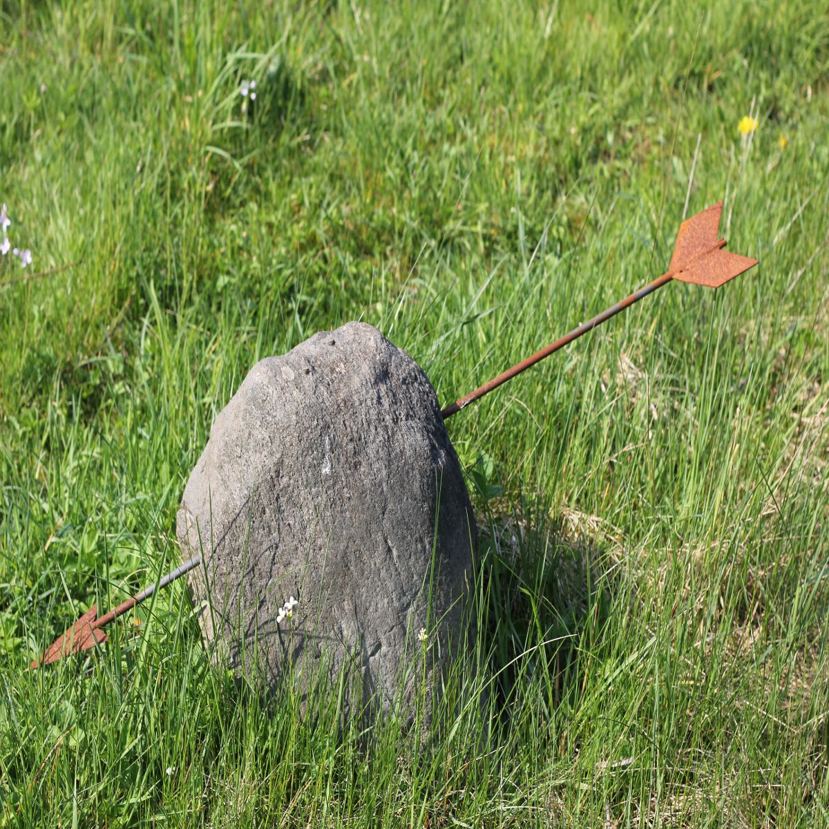 Object Image