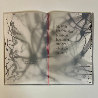 Object Thumbnail