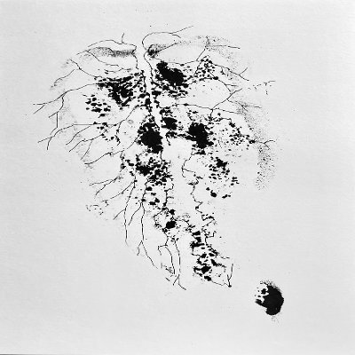 Object Thumbnail
