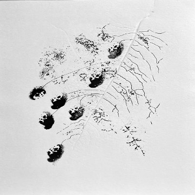 Object Thumbnail