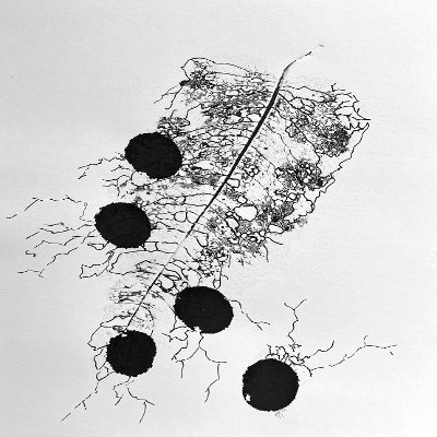 Object Thumbnail