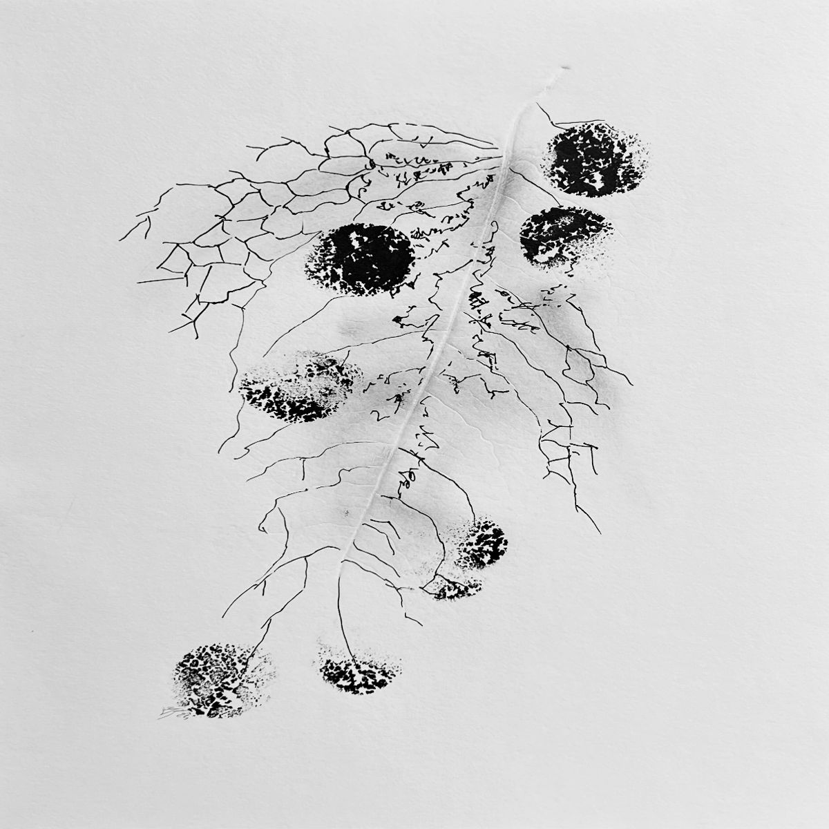 Object Image