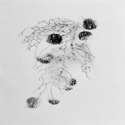 Object Thumbnail