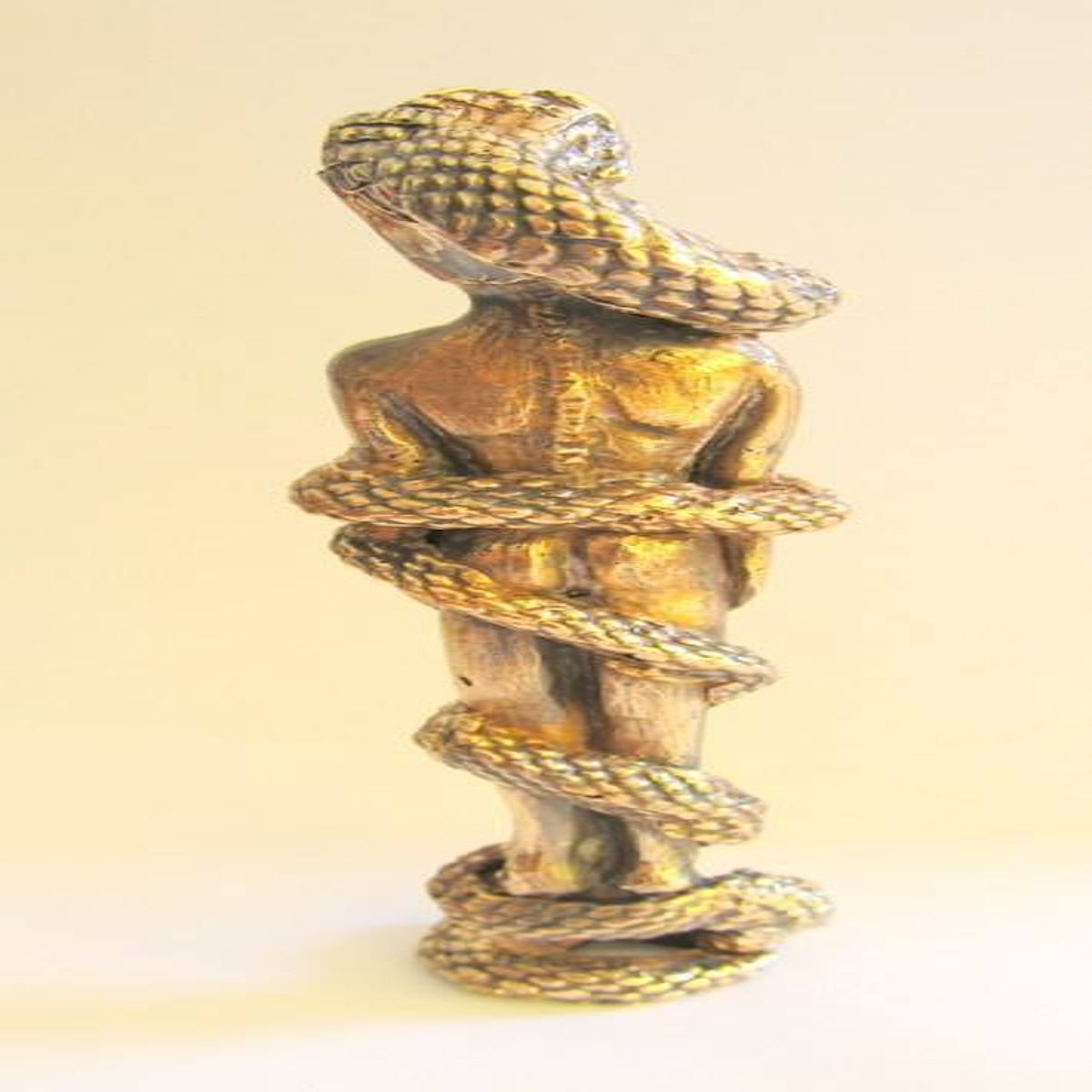 Object Image