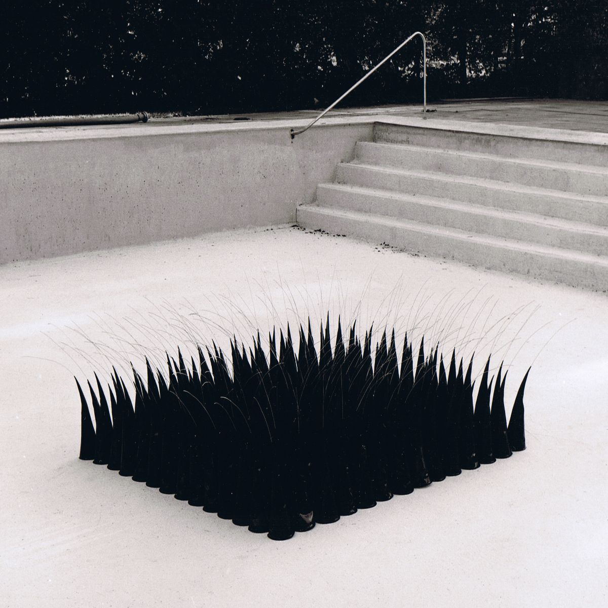 Object Image